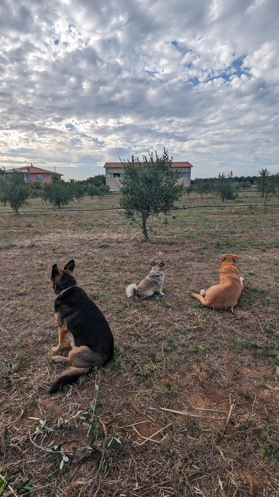 Casa Rurale San Vincenzo Buitenkant foto